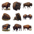 Bison Prairie Herd — Complete assortment