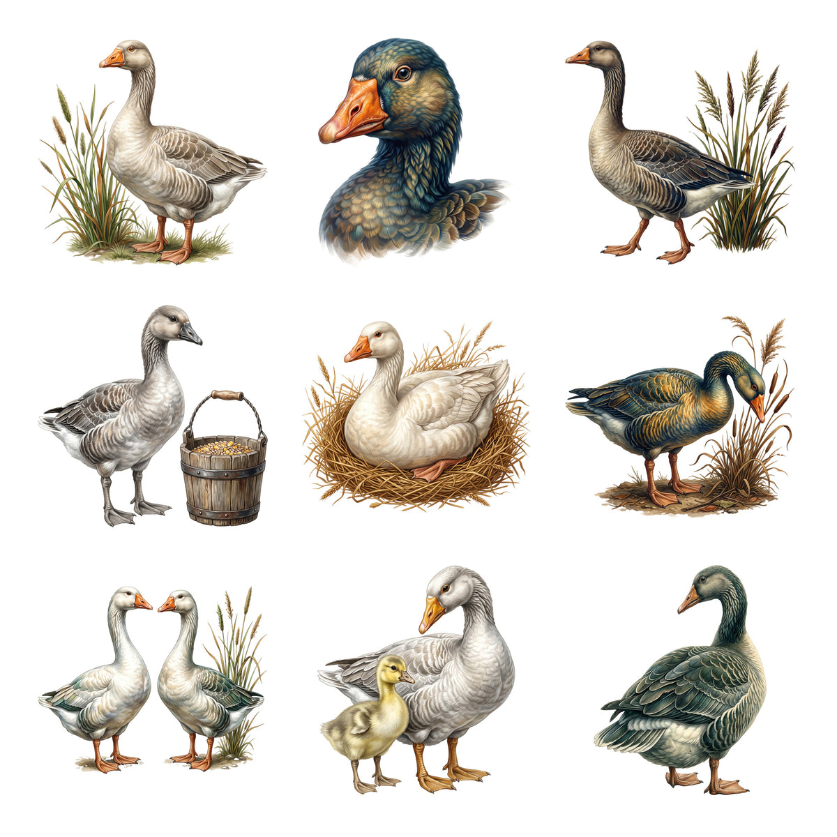 Goose Farm Guardians — Complete assortment