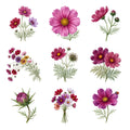Cosmos in the Breeze — Complete assortment