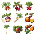 Root Vegetable Harvest — Complete assortment
