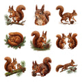 Squirrel Acorn Adventures — Complete assortment
