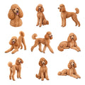 Poodle — Complete assortment