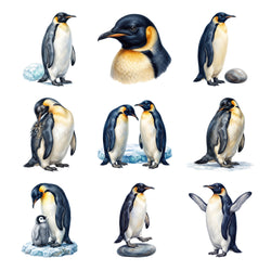 Penguin Colony — Complete assortment