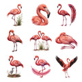 Flamingo Lagoon — Complete assortment