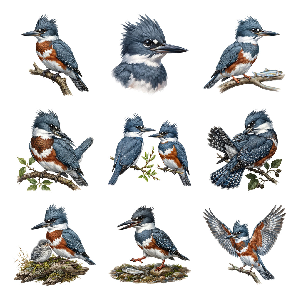 Kingfisher River Jewels — Complete assortment