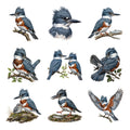 Kingfisher River Jewels — Complete assortment