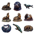 Sea Lion Colony — Complete assortment