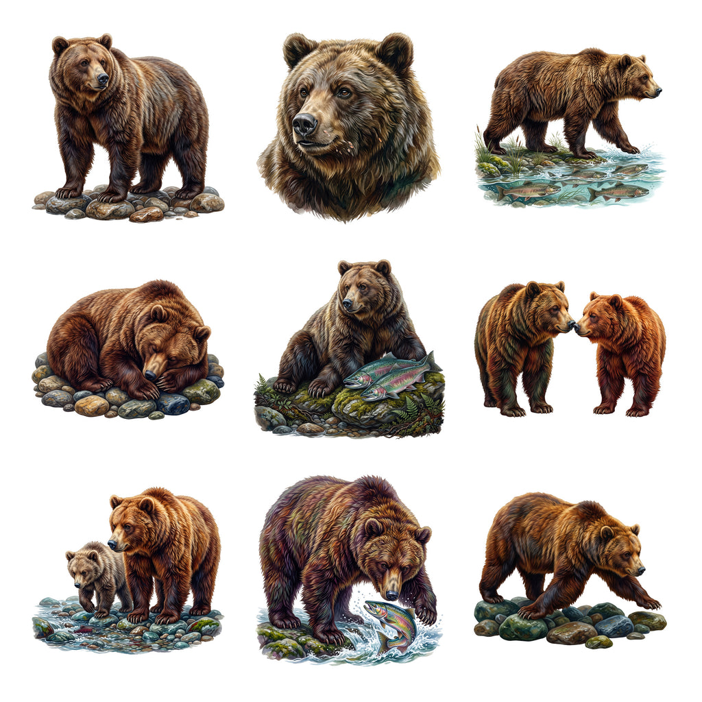 Grizzly Bear Salmon Run — Complete assortment
