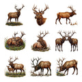 Elk Mountain Majesty — Complete assortment