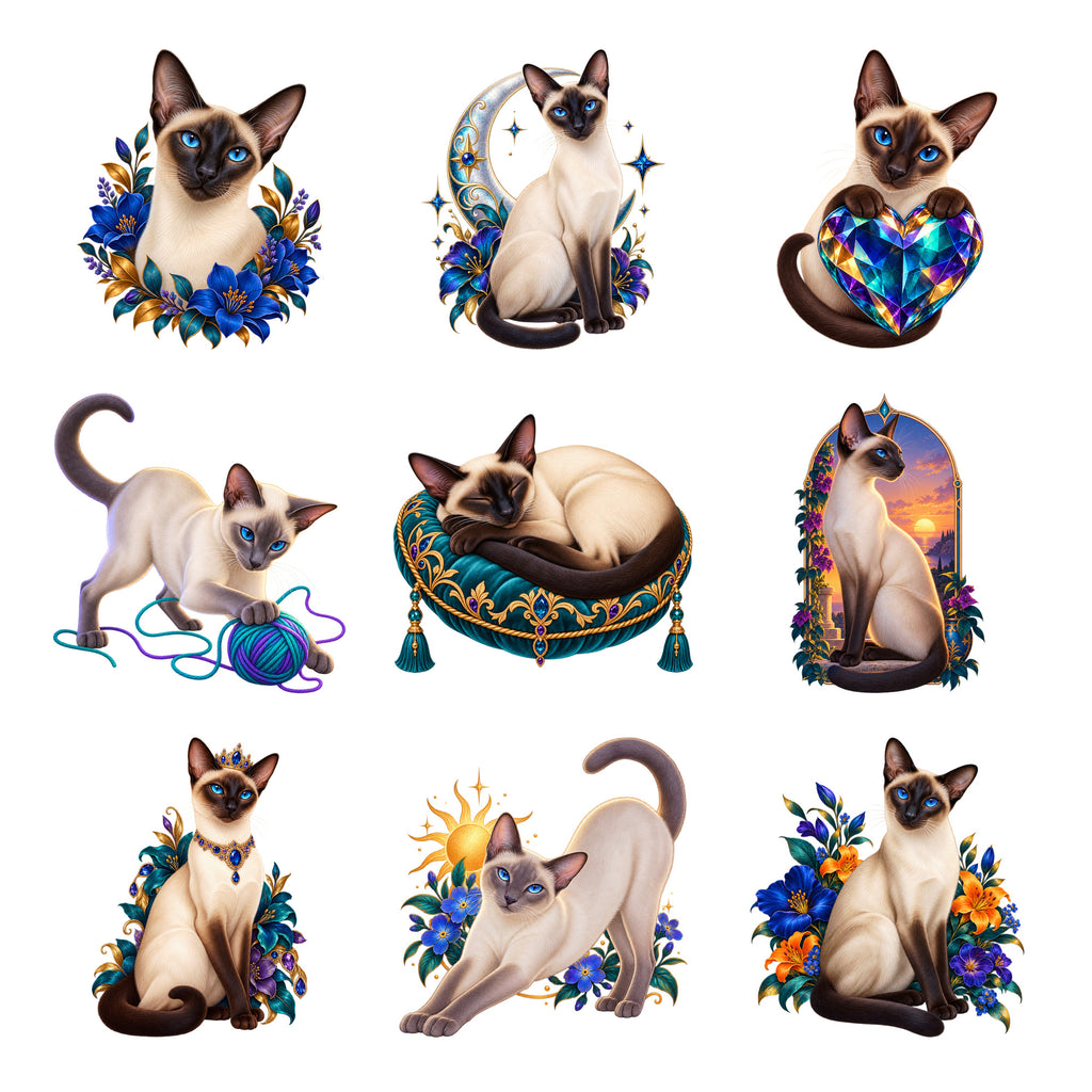 Siamese — Complete assortment