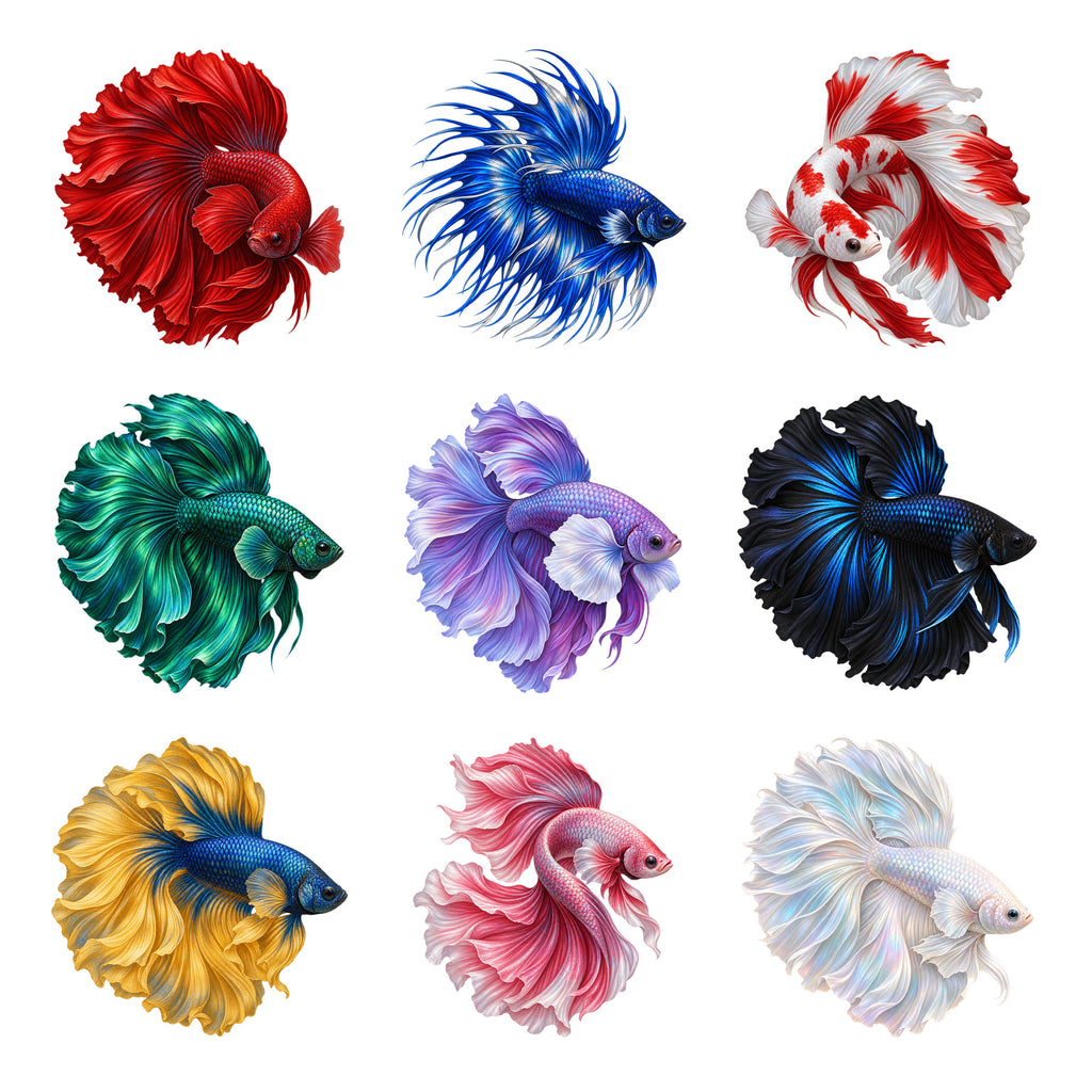 Siamese Fighting Fish - Living Silk — Complete assortment