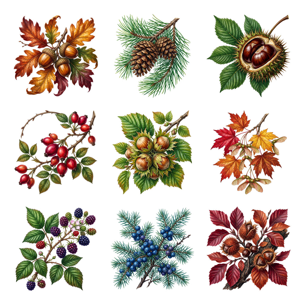 Woodland Treasures — Complete assortment