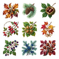 Woodland Treasures — Complete assortment