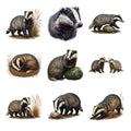 Badger Burrows — Complete assortment