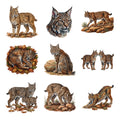 Bobcat Brush Country — Complete assortment