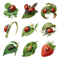 Ladybugs on Leaves — Complete assortment