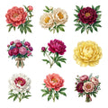 Peony Flowers — Complete assortment