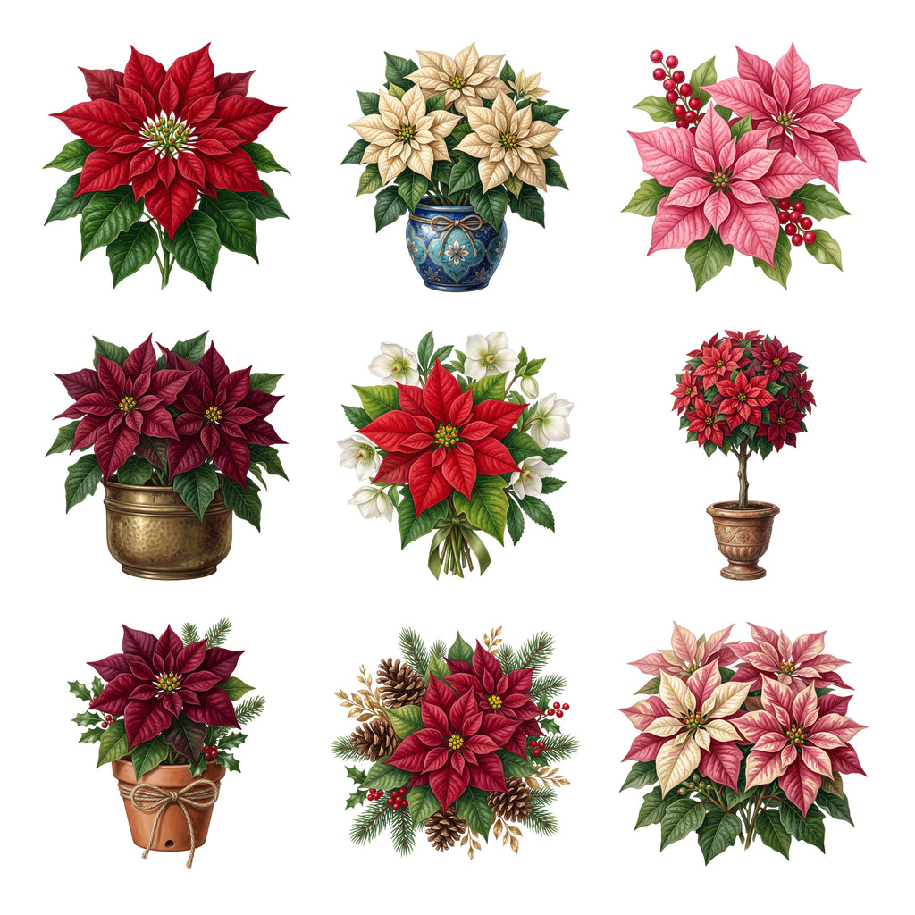 Poinsettia Arrangements — Complete assortment
