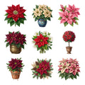 Poinsettia Arrangements — Complete assortment