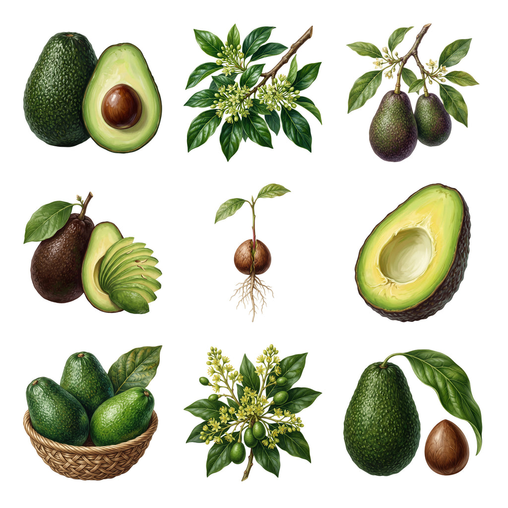 Avocados and Blossoms — Complete assortment