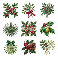 Holly and Mistletoe — Complete assortment