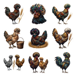 Polish Crested Chickens — Complete assortment