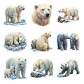 Polar Bear Arctic Life — Complete assortment