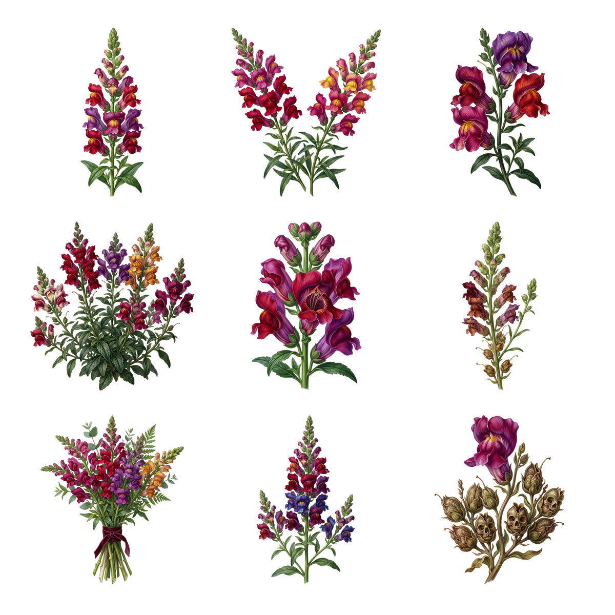 Snapdragon Spires — Complete assortment