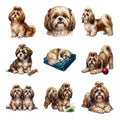 Shih Tzus — Complete assortment