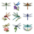 Jewel Wing Dragonflies — Complete assortment