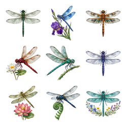 Jewel Wing Dragonflies — Complete assortment