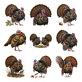 Turkey Gobbler Strut — Complete assortment