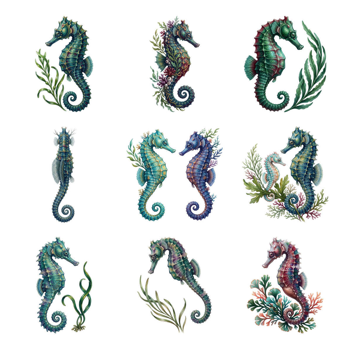 Seahorse Gardens — Complete assortment