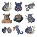 Chinchilla Companions — Complete assortment