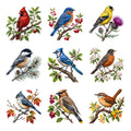Backyard Songbirds — Complete assortment