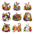 Devon Rex — Complete assortment