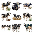 Holstein Dairy Cows — Complete assortment