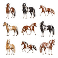 American Paint Horses — Complete assortment