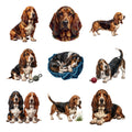 Basset Hounds — Complete assortment