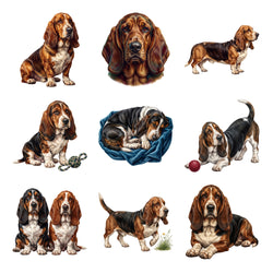 Basset Hounds — Complete assortment