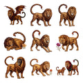 Manticore Desert Legends — Complete assortment