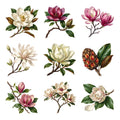 Magnolia Branches — Complete assortment