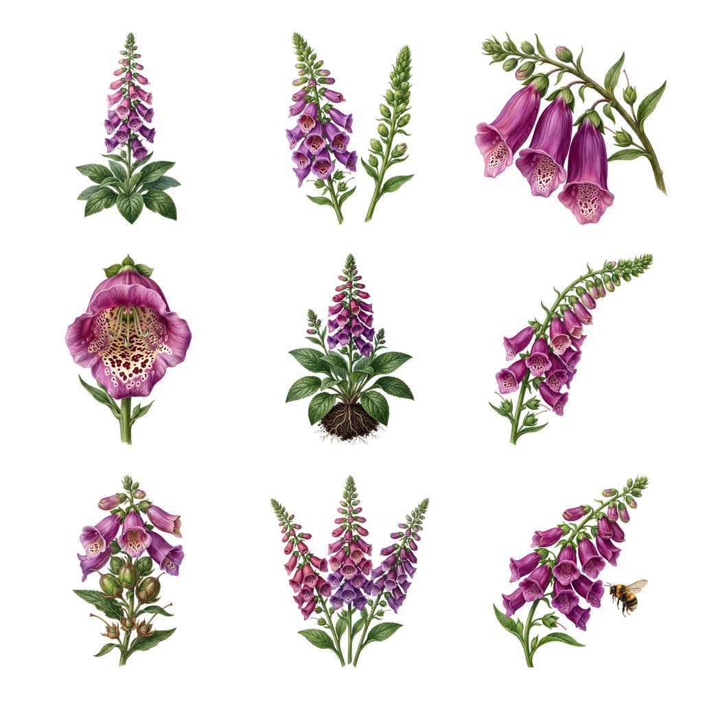 Foxglove Towers — Complete assortment