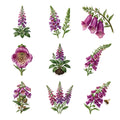 Foxglove Towers — Complete assortment