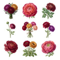 Ranunculus Bouquets — Complete assortment