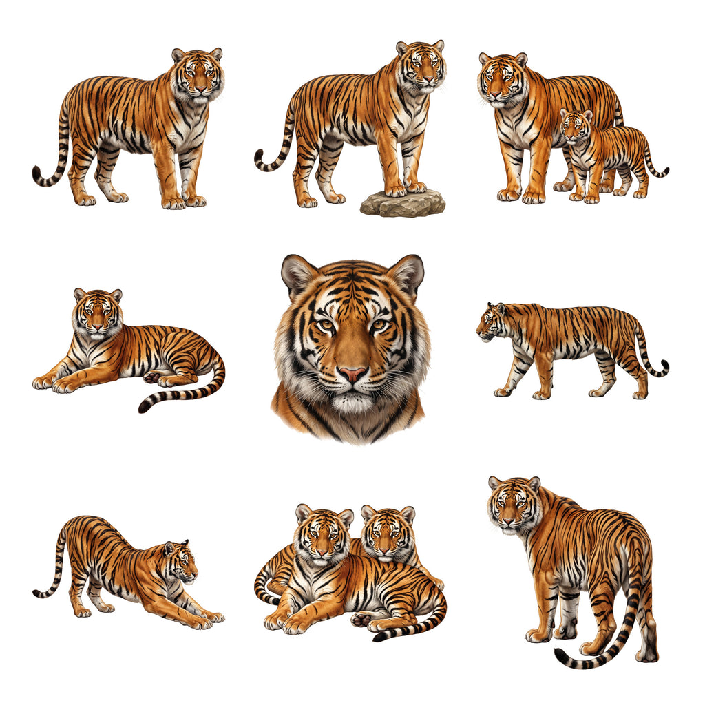 Tiger Jungle Majesty — Complete assortment