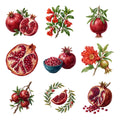 Pomegranate Jewels — Complete assortment