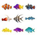 Saltwater Small Species — Complete assortment
