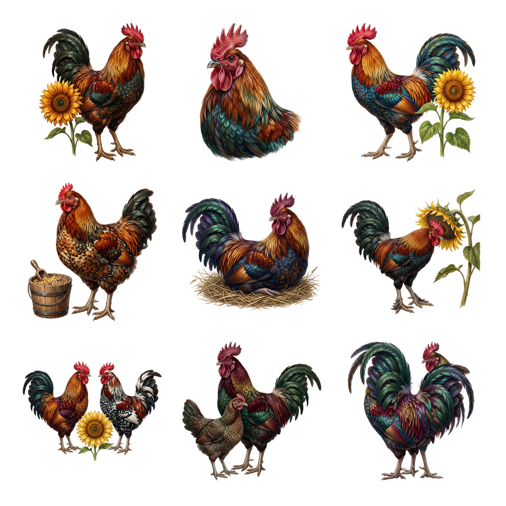 Rooster Portraits — Complete assortment