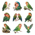 Lovebird Pairs — Complete assortment